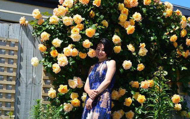 Khu vườn trăm hoa đua nở rực rỡ như chốn thiên đường của người phụ nữ Việt ở Úc