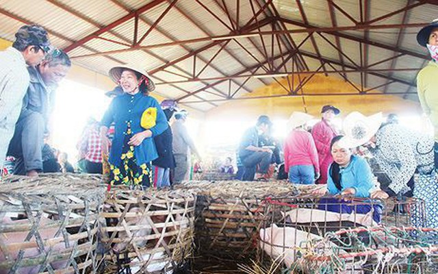 Chợ bế heo 'độc nhất' xứ Quảng