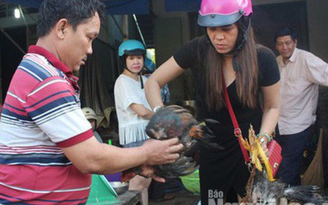 Mùng 3 Tết, gà trống ta thả vườn chân vàng 'cháy' hàng