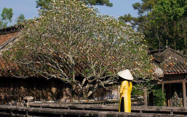 Miễn vé cho phụ nữ mặc áo dài khi tham quan di tích Huế