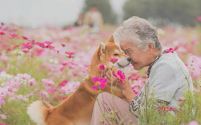 Bộ ảnh đầy cảm xúc của cụ bà Nhật Bản và chú cún con: Khi về già, chỉ cần một người đồng hành đáng yêu thế này thôi!