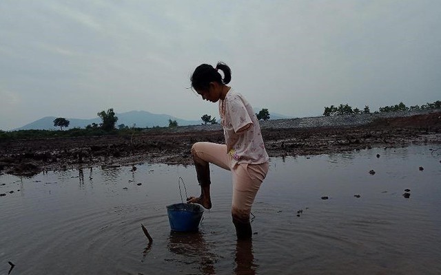 Câu chuyện có hậu của người phụ nữ ‘chim cánh cụt’