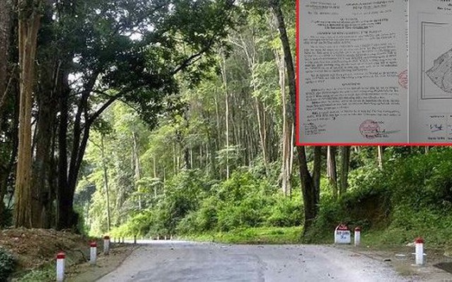 Ban quản lý rừng phòng hộ ở Nghệ An lập dự án “ma” rút tiền Nhà nước: Công an vào cuộc
