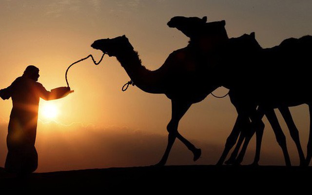 17 nước Arab tham gia 'Vành đai, Con đường' của Trung Quốc