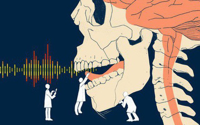 Các nhà khoa học đã có thể mô phỏng giọng nói bằng tín hiệu não