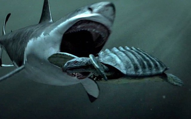 Giả thuyết về sự tồn tại về Megalodon, siêu cá mập có thật hay chỉ là cú lừa của truyền thông?