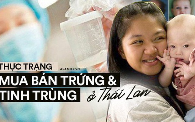 Thị trường mua bán trứng và tinh trùng phi pháp ở Thái Lan: Người người 'săn giống' đẹp và thông minh giá nghìn đô của người mẫu và nam sinh y khoa