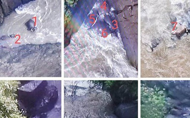 Lại thêm một đàn voi chết thảm tại thác nước địa ngục ở Thái Lan