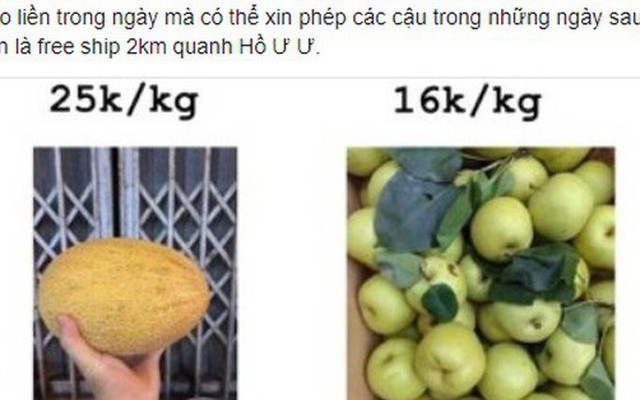 Chàng trai quảng cáo bán hoa quả cực chất trên group sinh viên Ngoại thương, các mẹ các chị vào mà học tập!