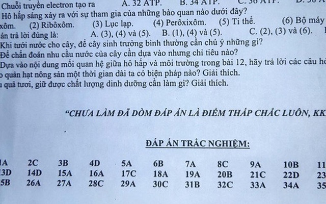 Đề cương ôn tập được đính kèm cả đáp án, nhưng chỉ với 1 câu nói bá đạo của cô giáo không học sinh nào dám ngó