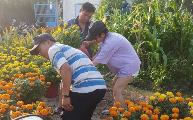 Mất vợ trong chuyến buôn hoa Tết, người chồng bán rẻ về quê chịu tang