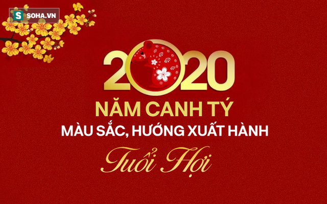 Màu sắc, hướng xuất hành may mắn mang lại tài lộc cho tuổi Hợi trong năm Canh Tý 2020