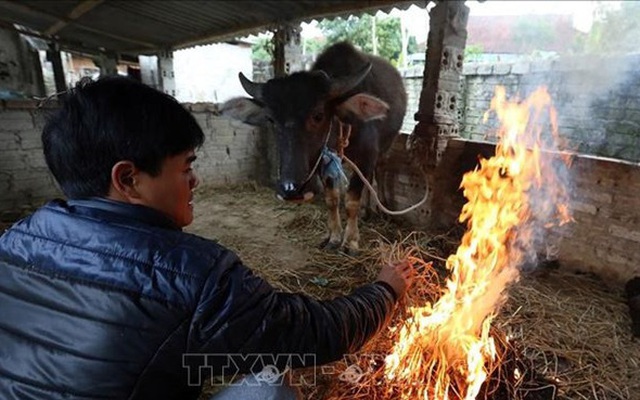 Miền Bắc có nơi rét đậm, rét hại, vùng núi cao đề phòng băng giá