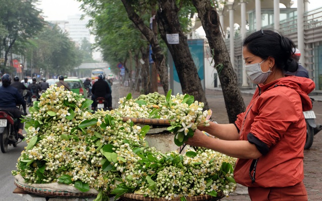 Kiếm bạc triệu nhờ bán hoa theo lạng trên phố Hà Nội