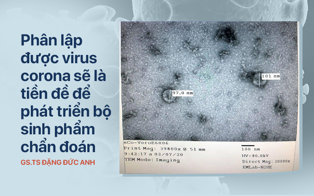 Phân lập virus corona là gì? Ý nghĩa như thế nào đối với tình hình dịch bệnh?