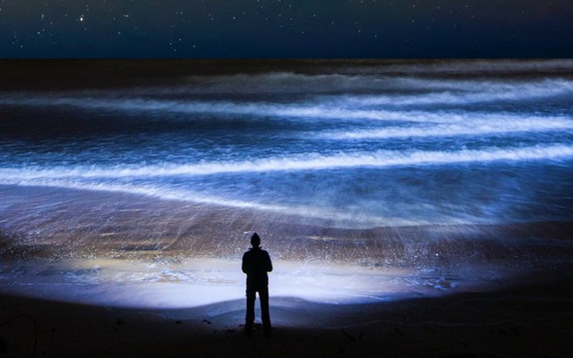 Cuộc "trỗi dậy" vĩ đại dưới lòng đại dương trong đêm tối: Lớn nhất hành tinh nhưng không ai biết