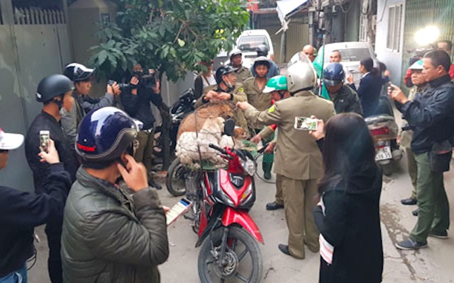 Thầy giáo dạy thể dục tử vong sau hơn 1 tháng bị chó cắn