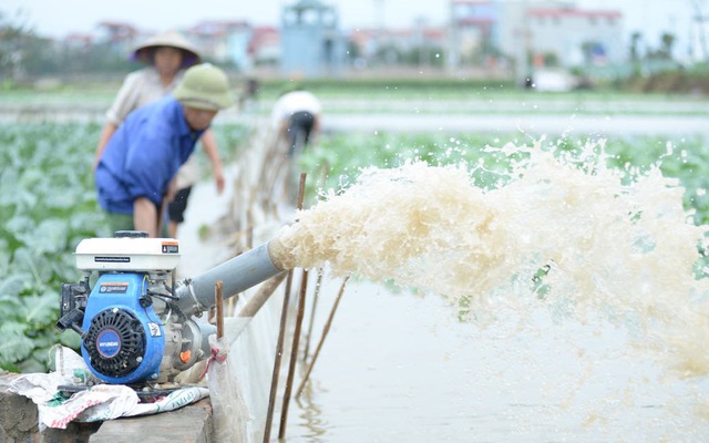 [Ảnh] Máy bơm hoạt động hết công suất cứu hàng chục mẫu rau chìm trong biển nước sau cơn mưa lớn ở Hà Nội