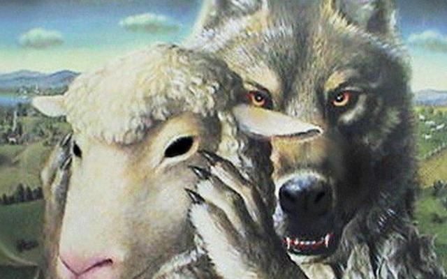Sắp bị ăn thịt đến nơi, cừu nhờ sói làm 1 việc mà thoát chết: Bài học khi rơi vào hiểm nguy