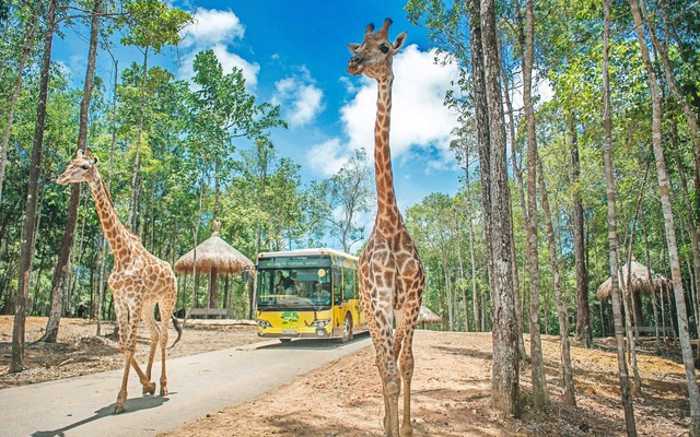 Vinpearl muốn làm khu du lịch sinh thái Vinpearl Safari hơn 1.100 ha ở Hạ Long