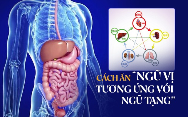 "Ngũ vị nhập ngũ tạng": Bí quyết ăn uống giúp nội tạng khoẻ mạnh, cơ thể ít bệnh của Đông y