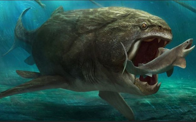 Giải mã "quái vật biển" sở hữu cặp hàm siêu mạnh: Cắn đôi cá mập khổng lồ chỉ trong 1/50 giây
