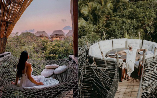 Resort trên cây ở Mexico: Có cả trăm góc sống ảo 'đẹp tung chảo' nhưng chỉ dành cho khách du lịch trên 18 tuổi