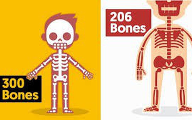 1001 thắc mắc: Kỳ lạ vì sao em bé lắm xương hơn người lớn?