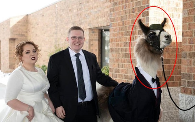 Cô dâu trưng bộ mặt khó chịu ngay trong bức hình duy nhất chụp chung với anh trai trong ngày cưới vì "khách mời" đặc biệt kế bên