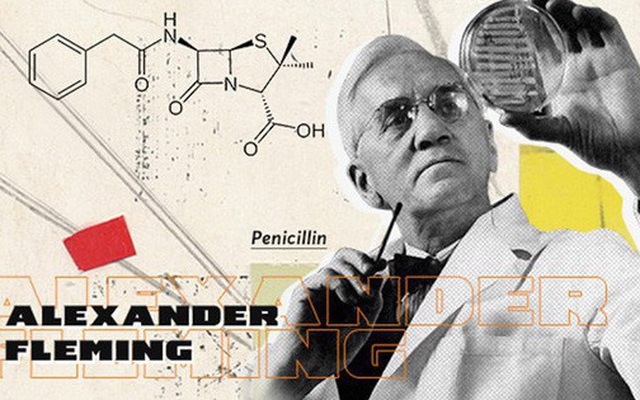 1001 thắc mắc: Ai là người tìm ra kháng sinh Penicillin?
