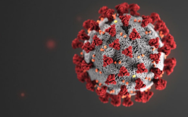 [Infographic] Cập nhật dịch Covid-19 chiều 28/4/2020