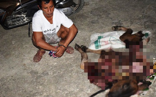 Quảng Bình: Túng tiền, thanh niên sang nhà hàng xóm bắt trộm bò xẻ thịt đem bán