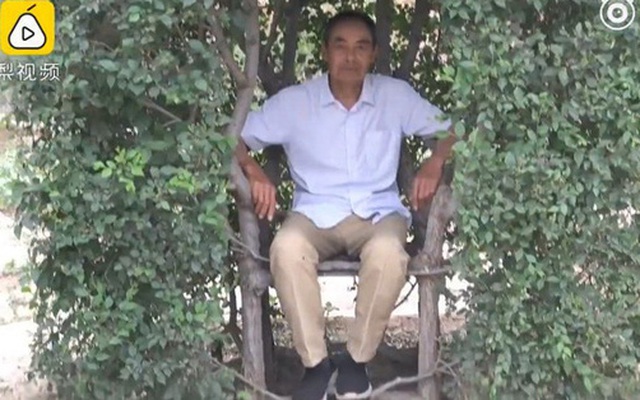 Bị chê dở hơi vì U70 vẫn quyết theo nghề "trồng ghế", cụ ông khiến ai nấy té ngửa với thành quả sau 17 năm