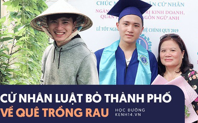 Cử nhân Luật bỏ thành phố lên Đà Lạt trồng rau, bị cha mẹ phản đối nhưng 1 năm sau nhận lại thành quả bất ngờ