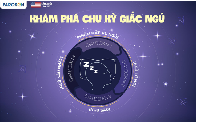 Chu kỳ giấc ngủ - cuộc hành trình tái tạo và hồi phục của cơ thể