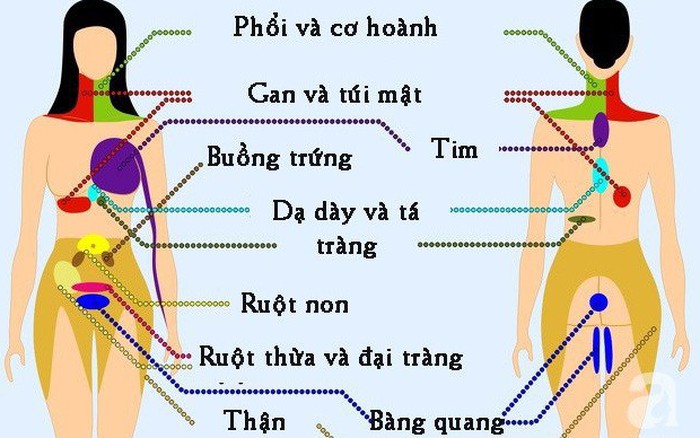 Phòng ngừa đau cơ thể