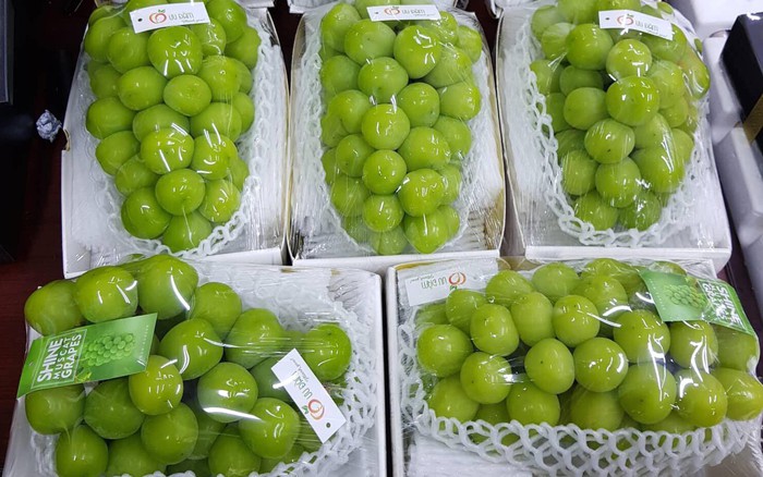 Nếu bạn đang tìm kiếm giá thành tốt nhất cho nho Mẫu Đơn Nhật Bản, hãy xem hình ảnh này để tìm hiểu về cách mua loại trái cây đắt tiền này với giá rẻ hơn.
