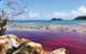 Thủy triều đỏ lần đầu xuất hiện ở biển Phú Quốc, hiện tượng này gây ra tác hại nghiêm trọng nào?